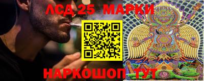 индика Новокубанск